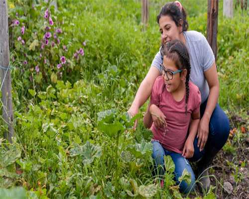 代孕套餐优惠:移植后*化会出血吗(试管移植*化后来月经月经干净后又出了点血)